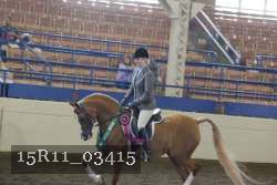 15R11_03415 thumbnail