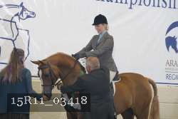 15R11_03418 thumbnail