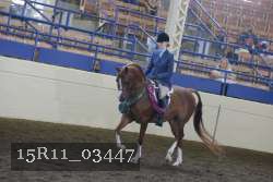 15R11_03447 thumbnail