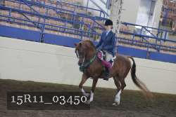 15R11_03450 thumbnail