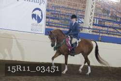 15R11_03451 thumbnail