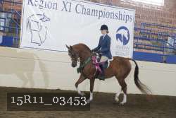 15R11_03453 thumbnail