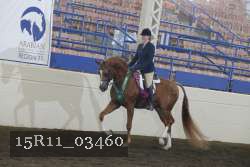 15R11_03460 thumbnail