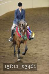 15R11_03461 thumbnail