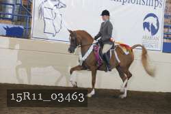 15R11_03463 thumbnail
