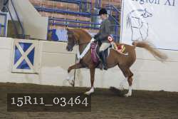 15R11_03464 thumbnail