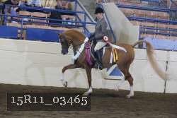 15R11_03465 thumbnail