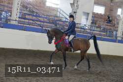 15R11_03471 thumbnail