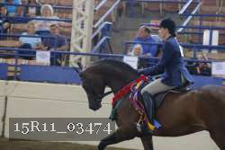 15R11_03474 thumbnail