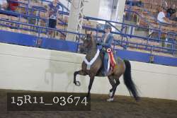 15R11_03674 thumbnail