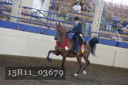 15R11_03679 thumbnail