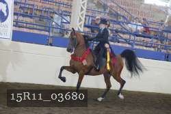 15R11_03680 thumbnail