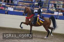 15R11_03683 thumbnail