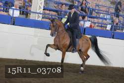 15R11_03708 thumbnail