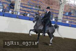 15R11_03711 thumbnail