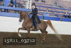 15R11_03712 thumbnail