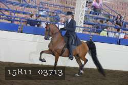 15R11_03713 thumbnail