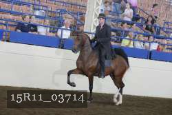 15R11_03714 thumbnail