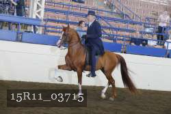 15R11_03715 thumbnail