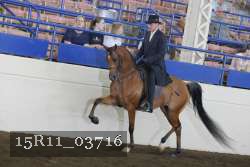 15R11_03716 thumbnail