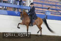 15R11_03717 thumbnail