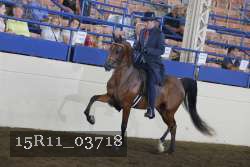 15R11_03718 thumbnail