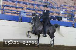 15R11_03721 thumbnail