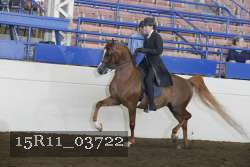 15R11_03722 thumbnail