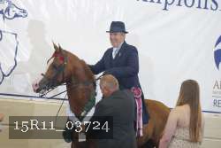 15R11_03724 thumbnail