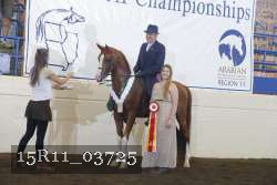 15R11_03725 thumbnail