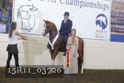 15R11_03726 thumbnail