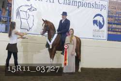 15R11_03727 thumbnail