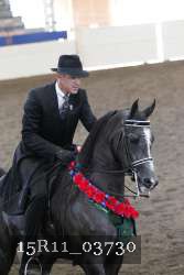 15R11_03730 thumbnail