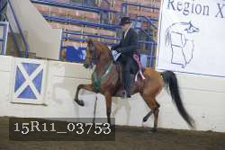 15R11_03753 thumbnail