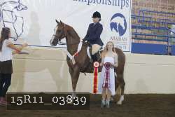 15R11_03839 thumbnail