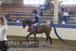 15R11_03877 thumbnail