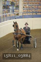 15R11_03884 thumbnail