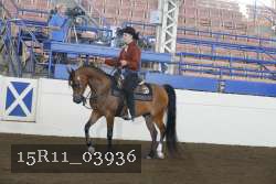 15R11_03936 thumbnail