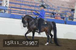 15R11_03937 thumbnail