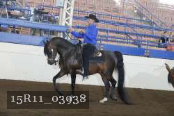 15R11_03938 thumbnail