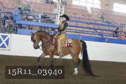 15R11_03940 thumbnail