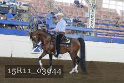 15R11_03944 thumbnail