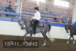 15R11_03945 thumbnail
