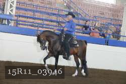 15R11_03946 thumbnail