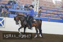 15R11_03947 thumbnail