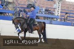 15R11_03948 thumbnail