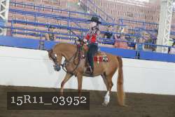 15R11_03952 thumbnail