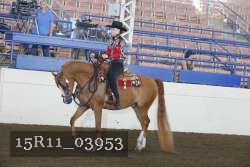15R11_03953 thumbnail