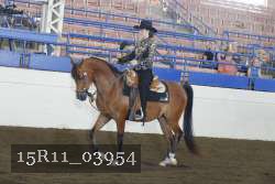 15R11_03954 thumbnail