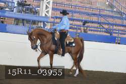 15R11_03955 thumbnail